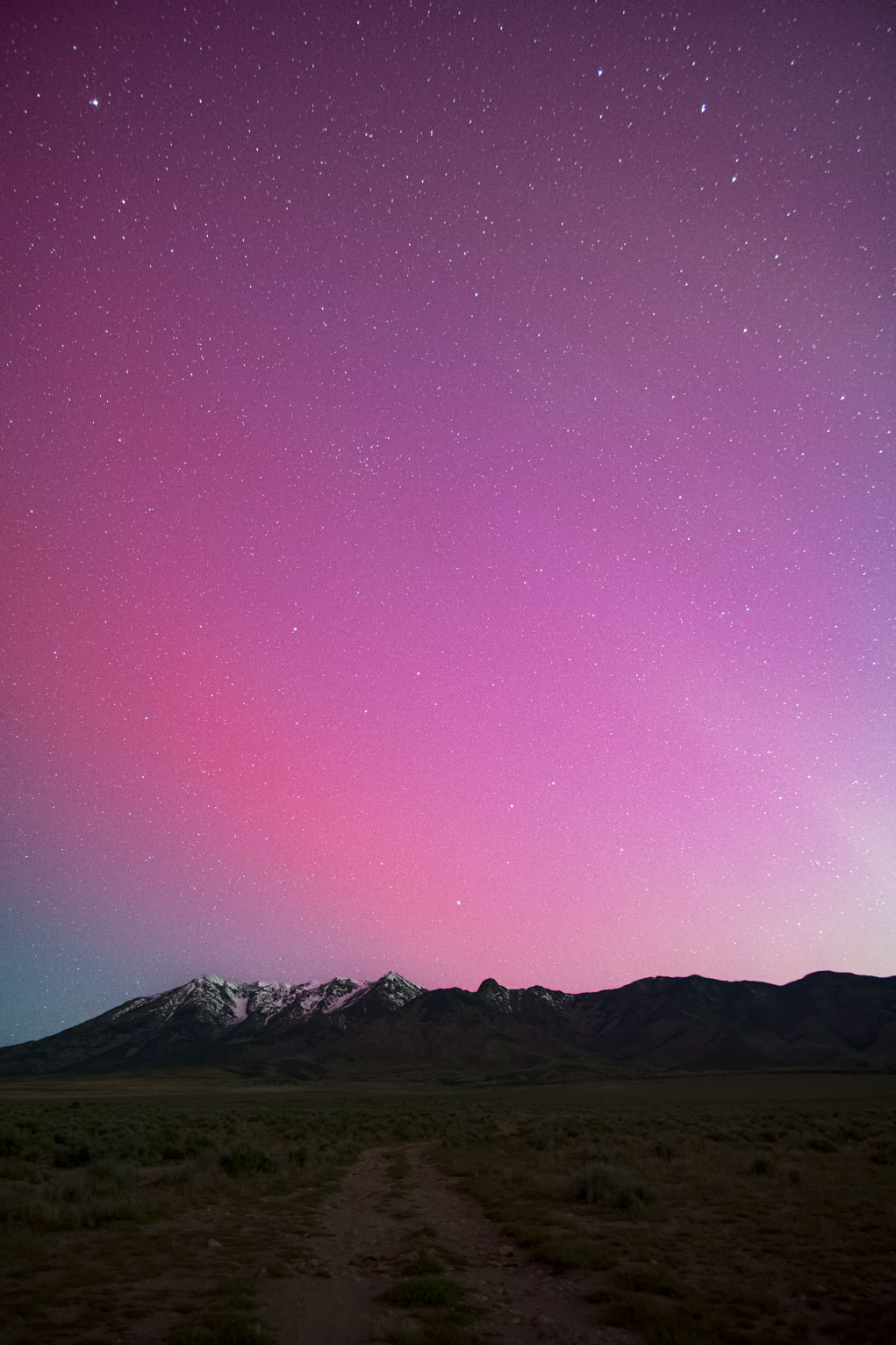 Aurora up in the sky and reflecting off the snow in the mountains and Leo sits above them